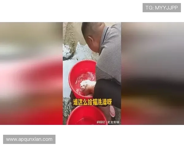 孙悦居然开始给家里猫洗澡，这生活太反差了吧？